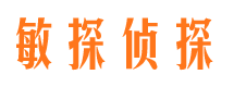 高青侦探